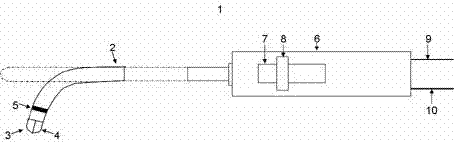 Cardiac muscle biopsy system with electrophysiology standard measurement and three-dimensional positioning functions