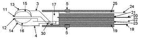 Cardiac muscle biopsy system with electrophysiology standard measurement and three-dimensional positioning functions