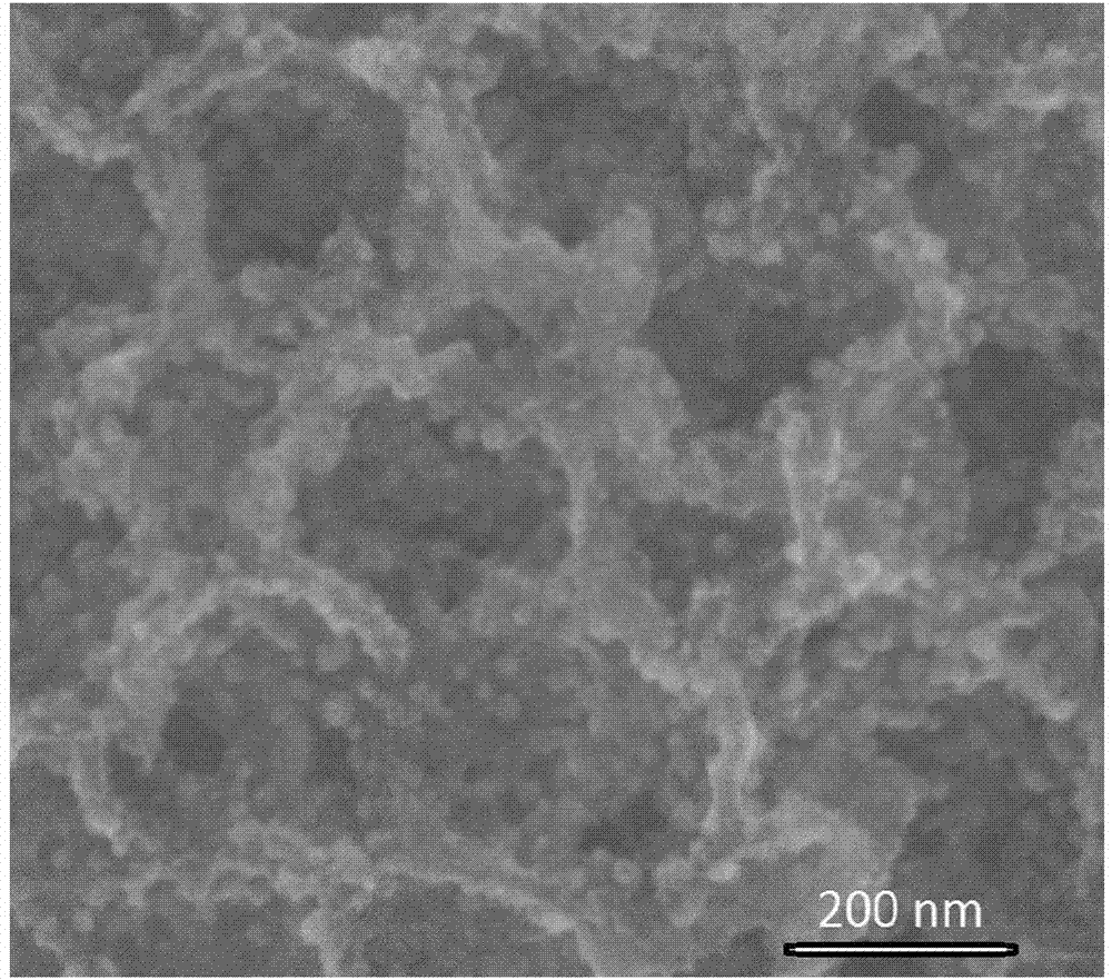 Three-dimensional macro-porous structured molybdenum dioxide supported palladium particle material and synthetic method thereof