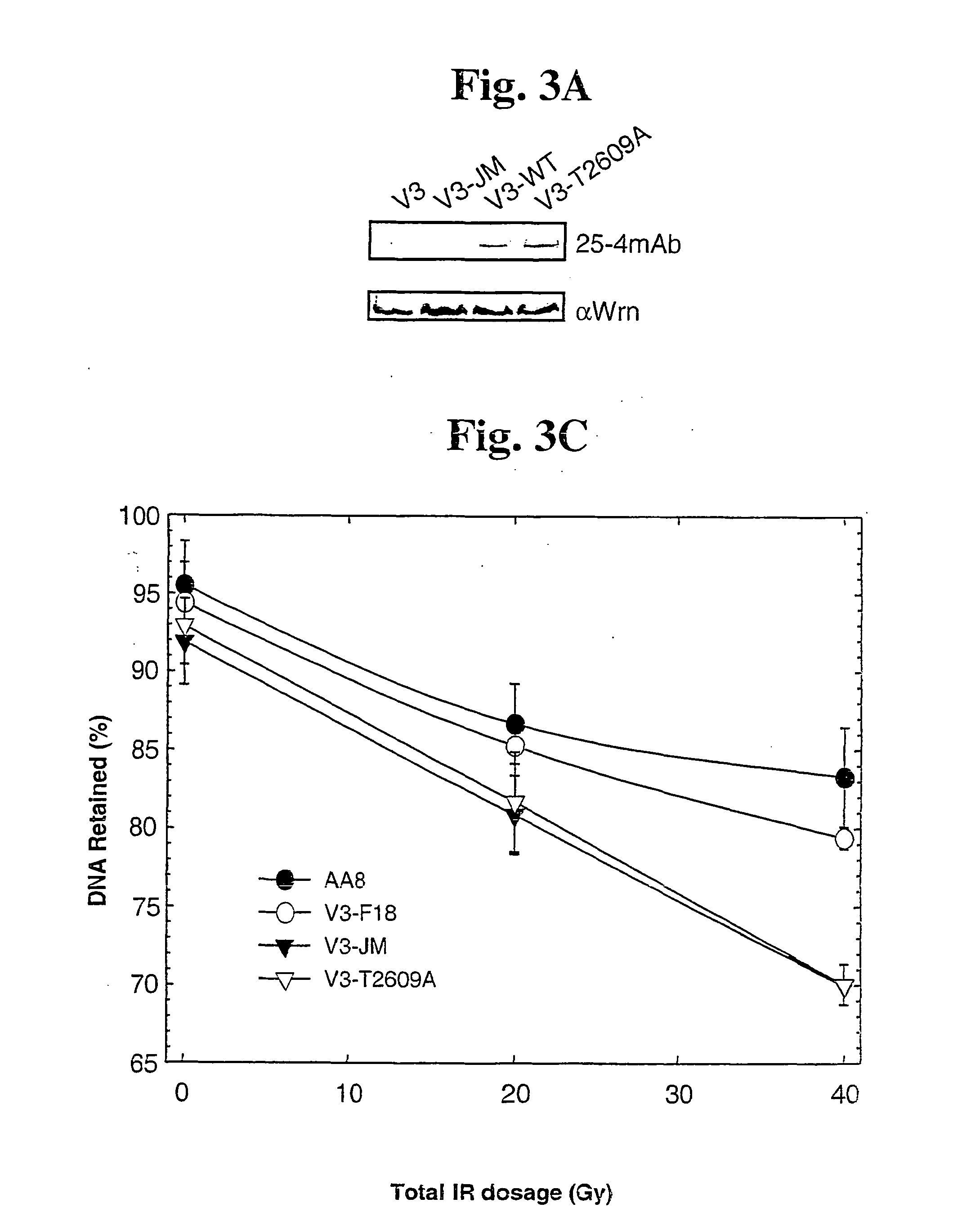 Dna dependent protein kinase catalytic subunit phosphorylation sites and antibodies thereto