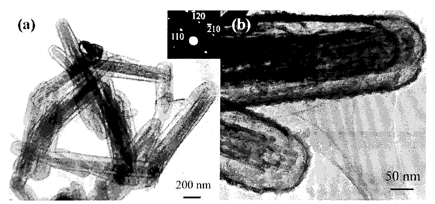 Ferriferous oxide/tin oxide core-shell nanometer rod absorbing high-frequency electromagnetic wave and preparing method thereof