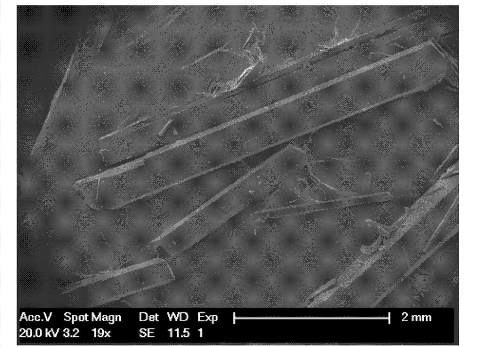 Ginsenoside C-K monohydrate crystal and preparation method thereof