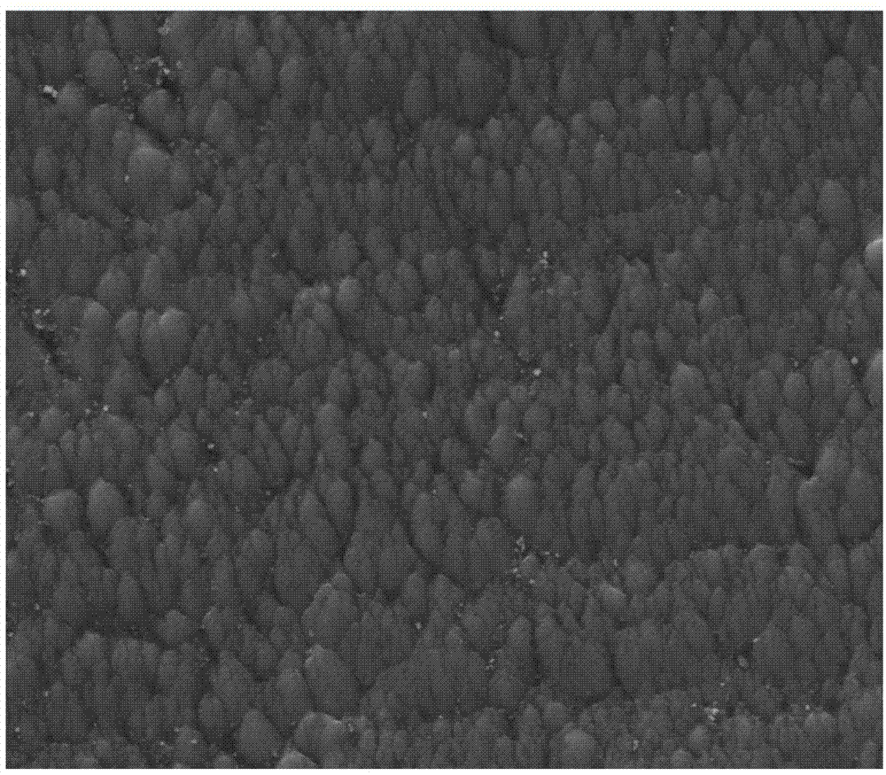 Bonding-resistant tool based on lotus leaf surface bionics and preparation method thereof