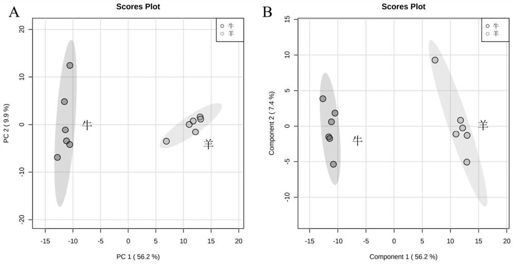 Cow milk and goat milk adulteration identification method based on phosphatidylcholine