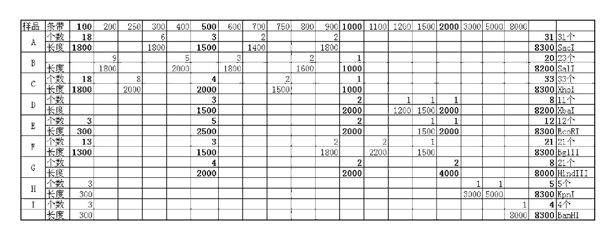 DNA marker plasmid and preparation and application thereof