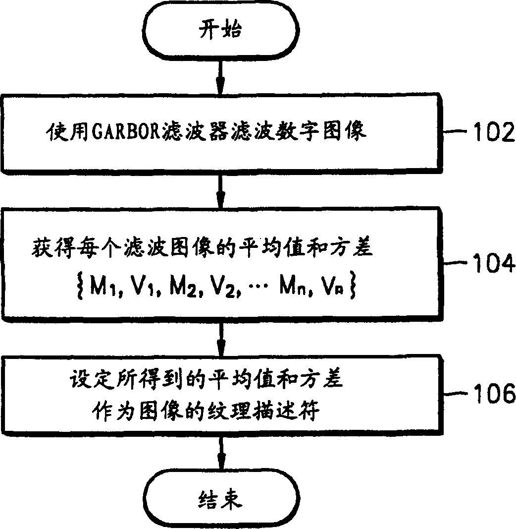 Digital video texture analytic method