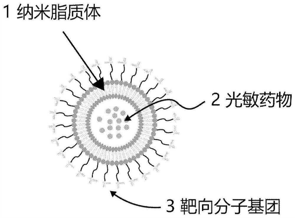 Nano-photosensitive compound targeting epilepsy cells and its regulatory detection system