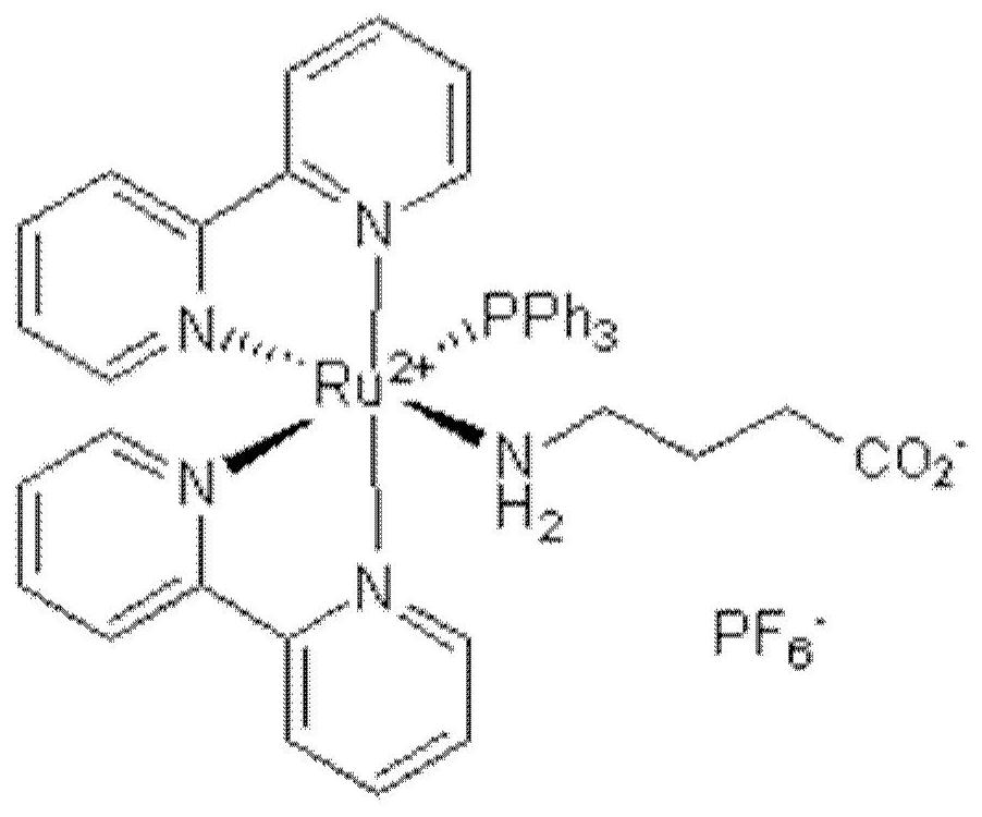 Nano-photosensitive compound targeting epilepsy cells and its regulatory detection system