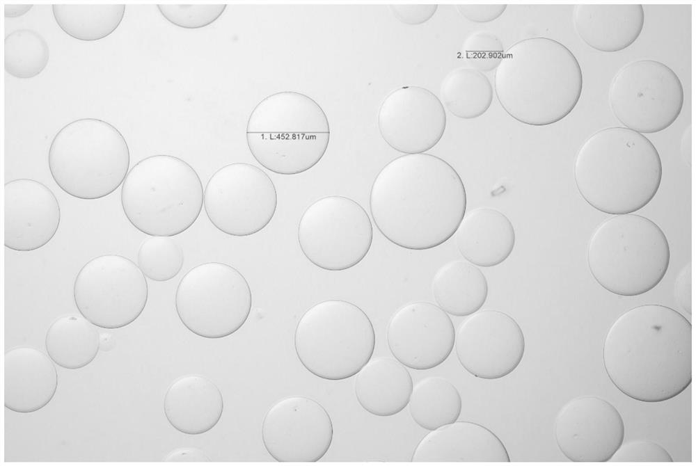 Embolism microsphere capable of slowly releasing medicine and preparation method of embolism microsphere