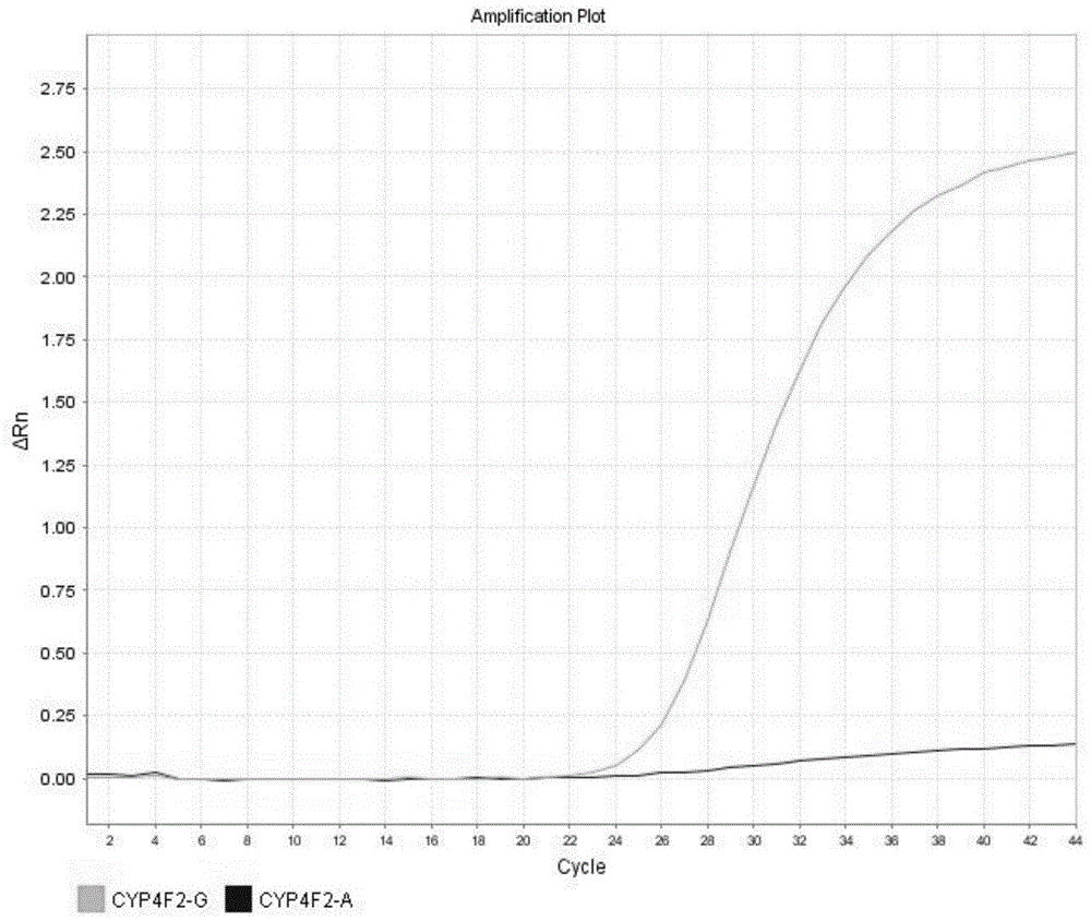 Detection method for CYP4F2 gene polymorphism, as well as nucleic acid probe and kit for method