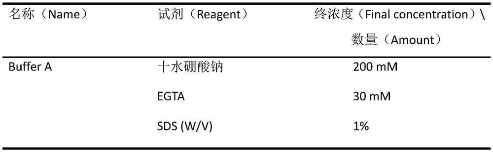 Efficient extraction method of guava fruit RNA