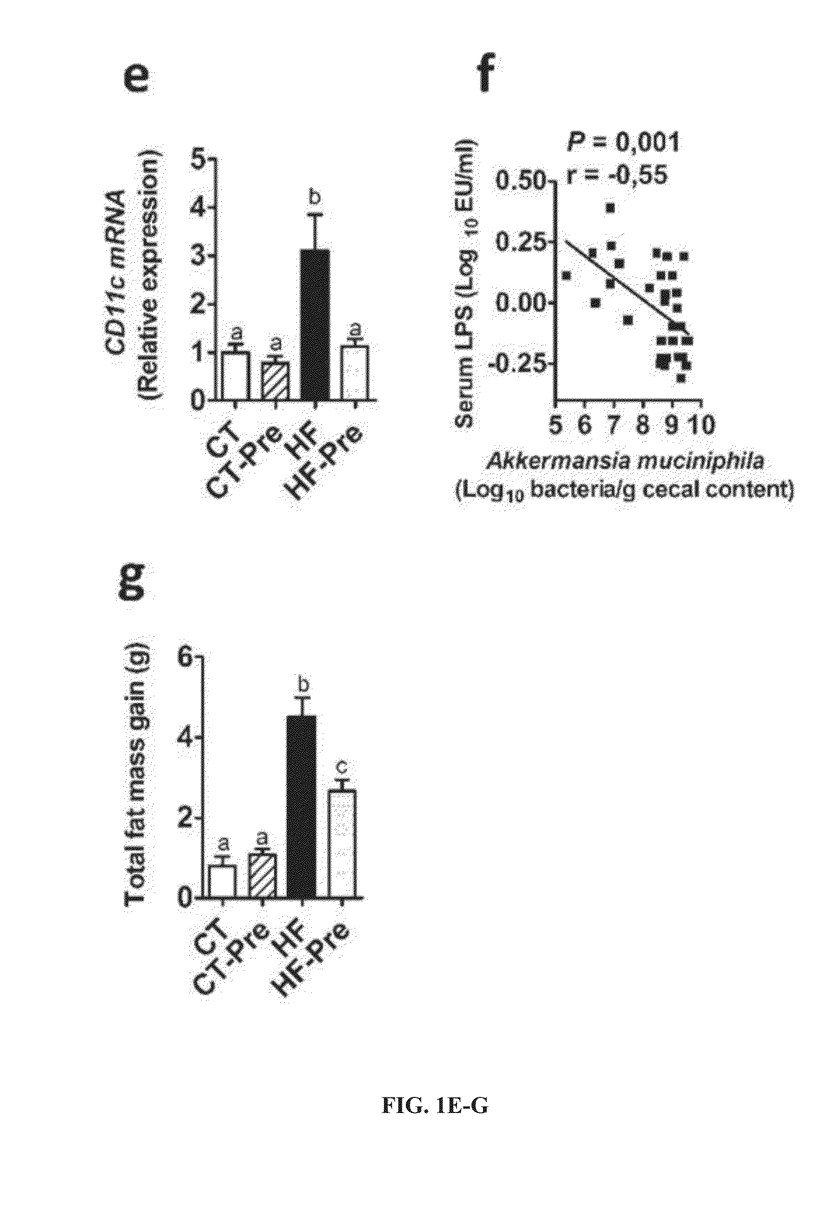 Use of akkermansia for treating metabolic disorders