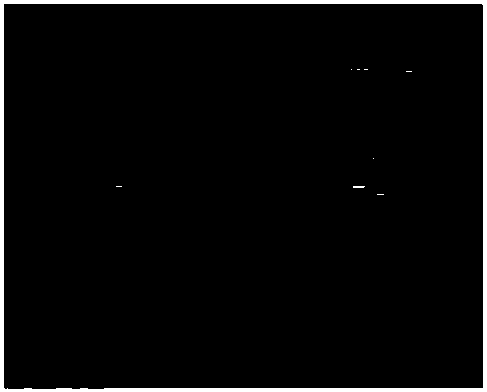 Stable non-aqueous system containing resveratrol and preparation method of stable non-aqueous system