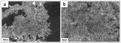 A kind of noble metal porous nano film and preparation method thereof