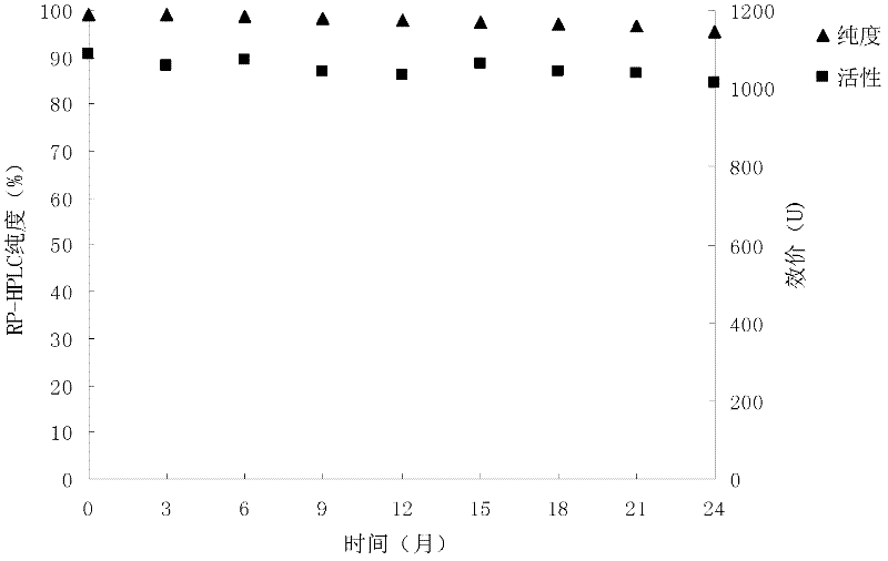 Medicinal composition of recombinant carboxypeptidase G2