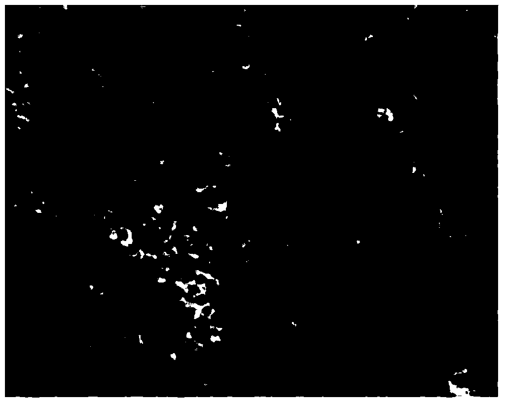 Method for culturing and obtaining tissue engineered epidermis and its application