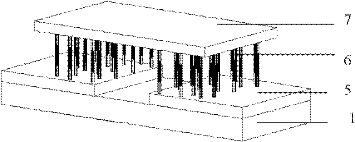 Multichannel carbon nanotube sensor and preparation method thereof