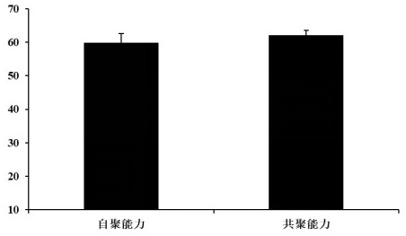 Lactobacillus paracasei LC86 and application thereof in prevention or treatment of decayed teeth and periodontitis