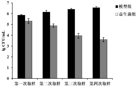 Lactobacillus paracasei LC86 and application thereof in prevention or treatment of decayed teeth and periodontitis