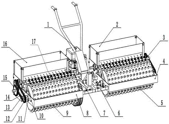 Front precision planter for notoginseng