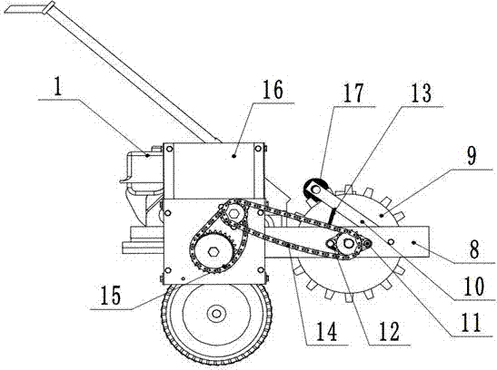 Front precision planter for notoginseng