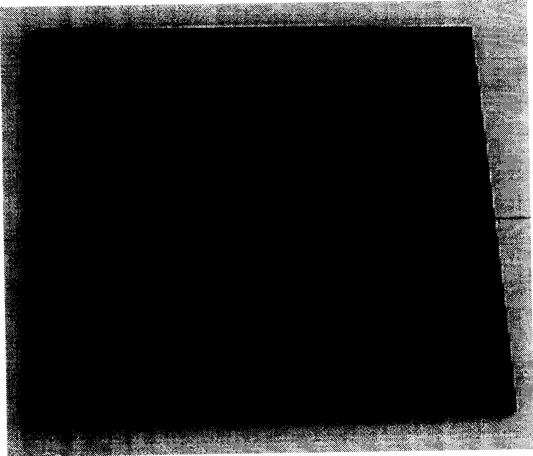 Electricity conductive polyaniline carbon nanotube combined electromagnetic shielding composite material and its production method