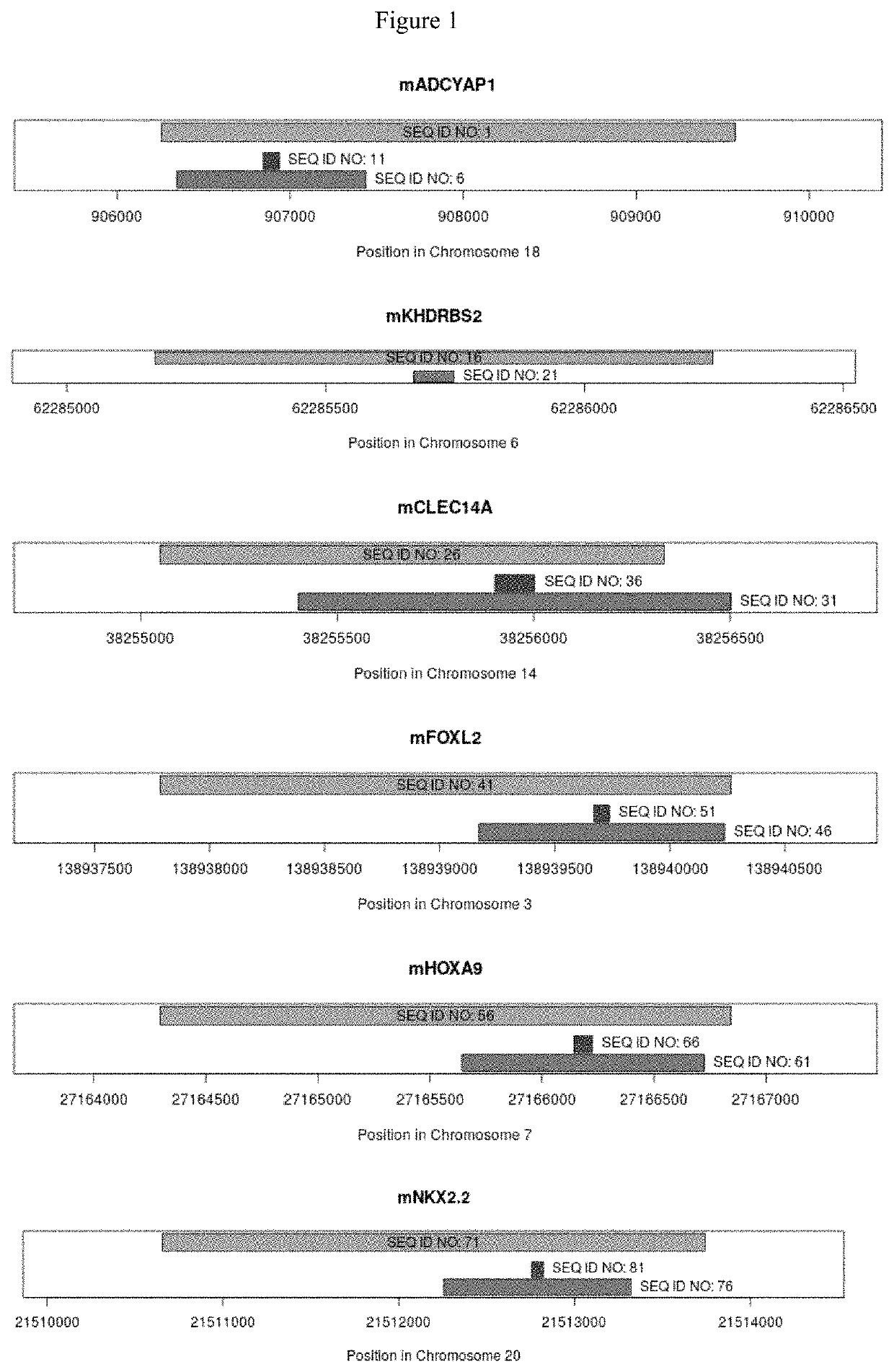 Methods for detecting head and neck cancer