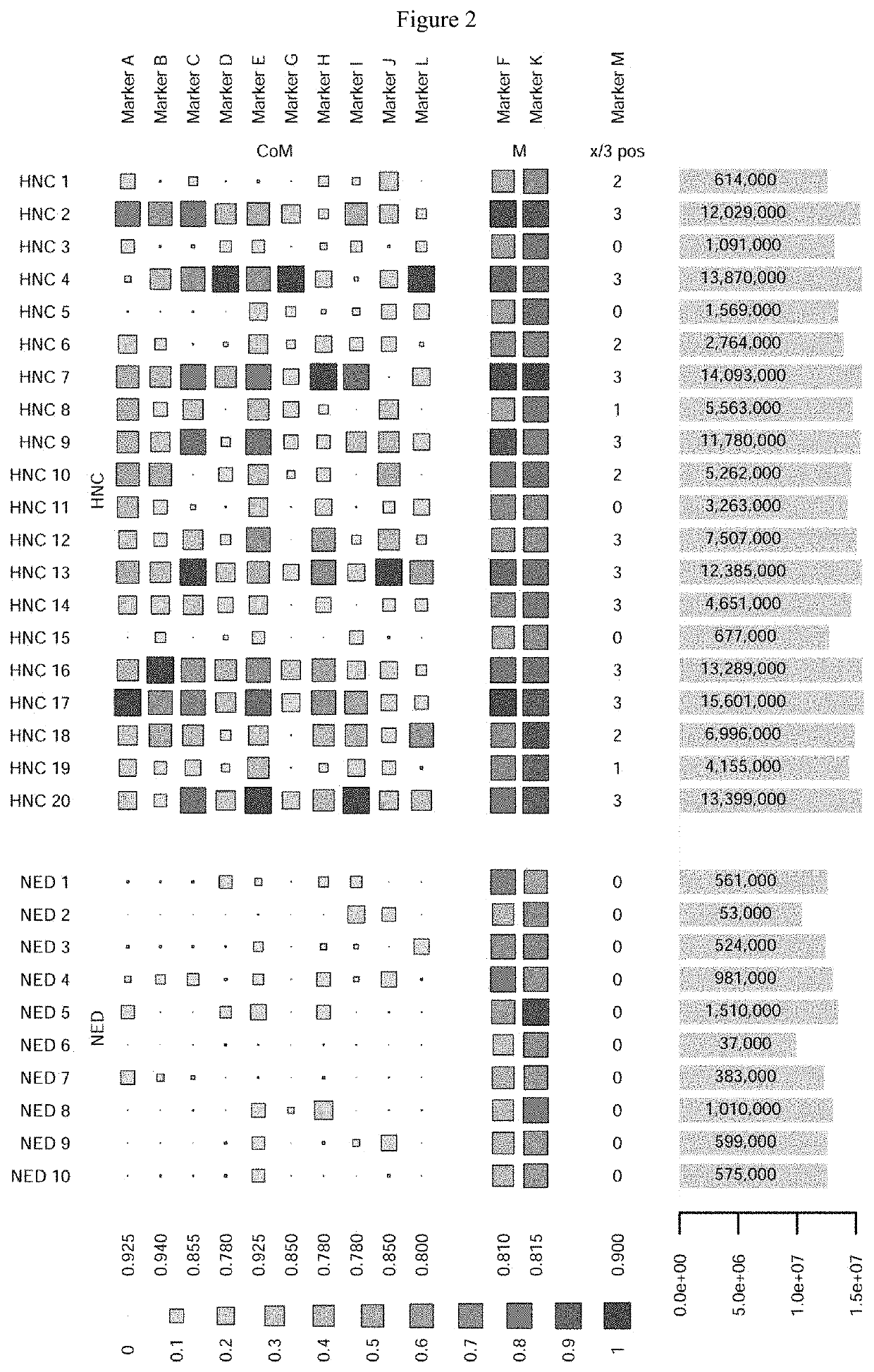 Methods for detecting head and neck cancer