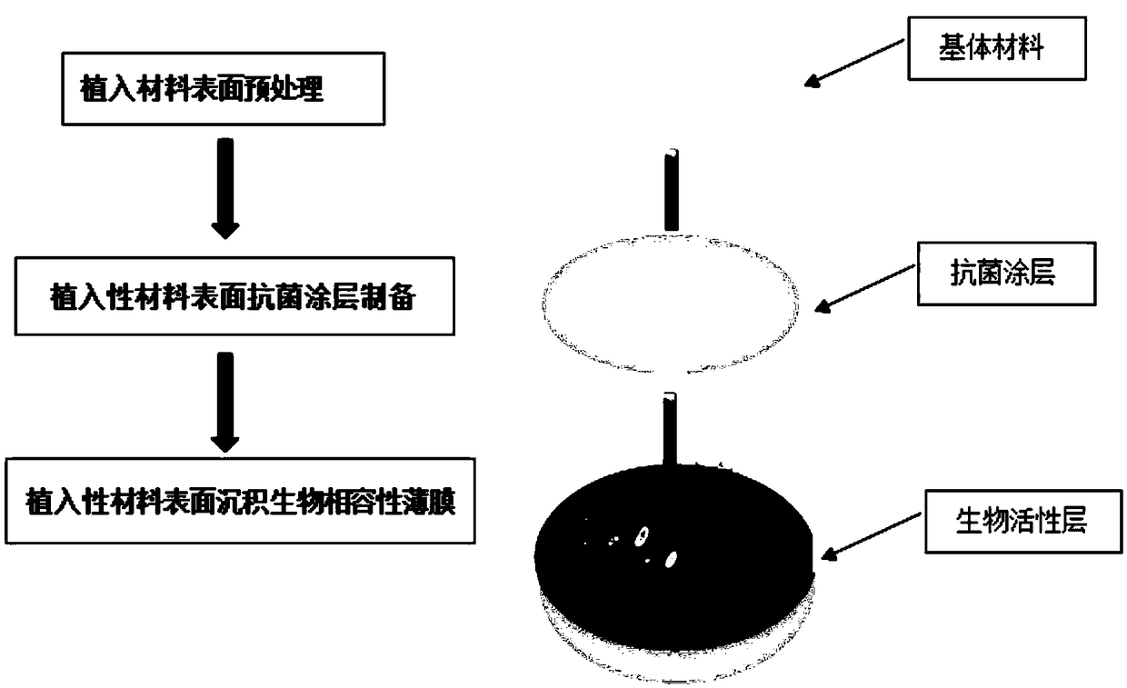 Composite coating having antibacterial performance and biocompatibility as well as preparation method and application of composite coating