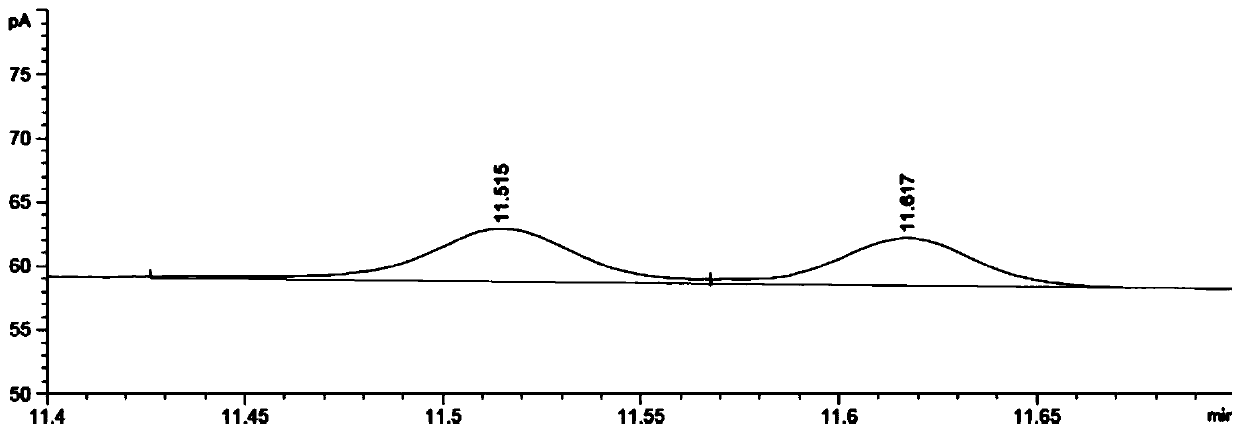 Amine dehydrogenase and application thereof