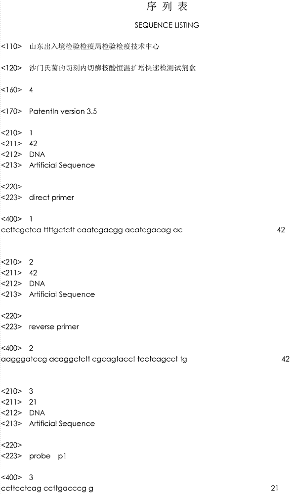 Kit capable of quickly detecting amplification of incising incision enzyme nucleic acid of salmonella at constant temperature