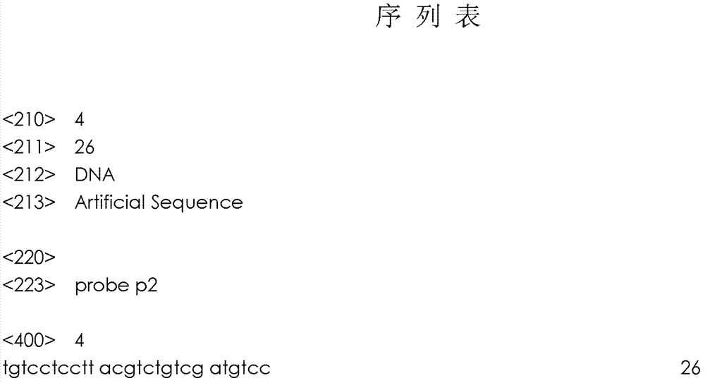 Kit capable of quickly detecting amplification of incising incision enzyme nucleic acid of salmonella at constant temperature