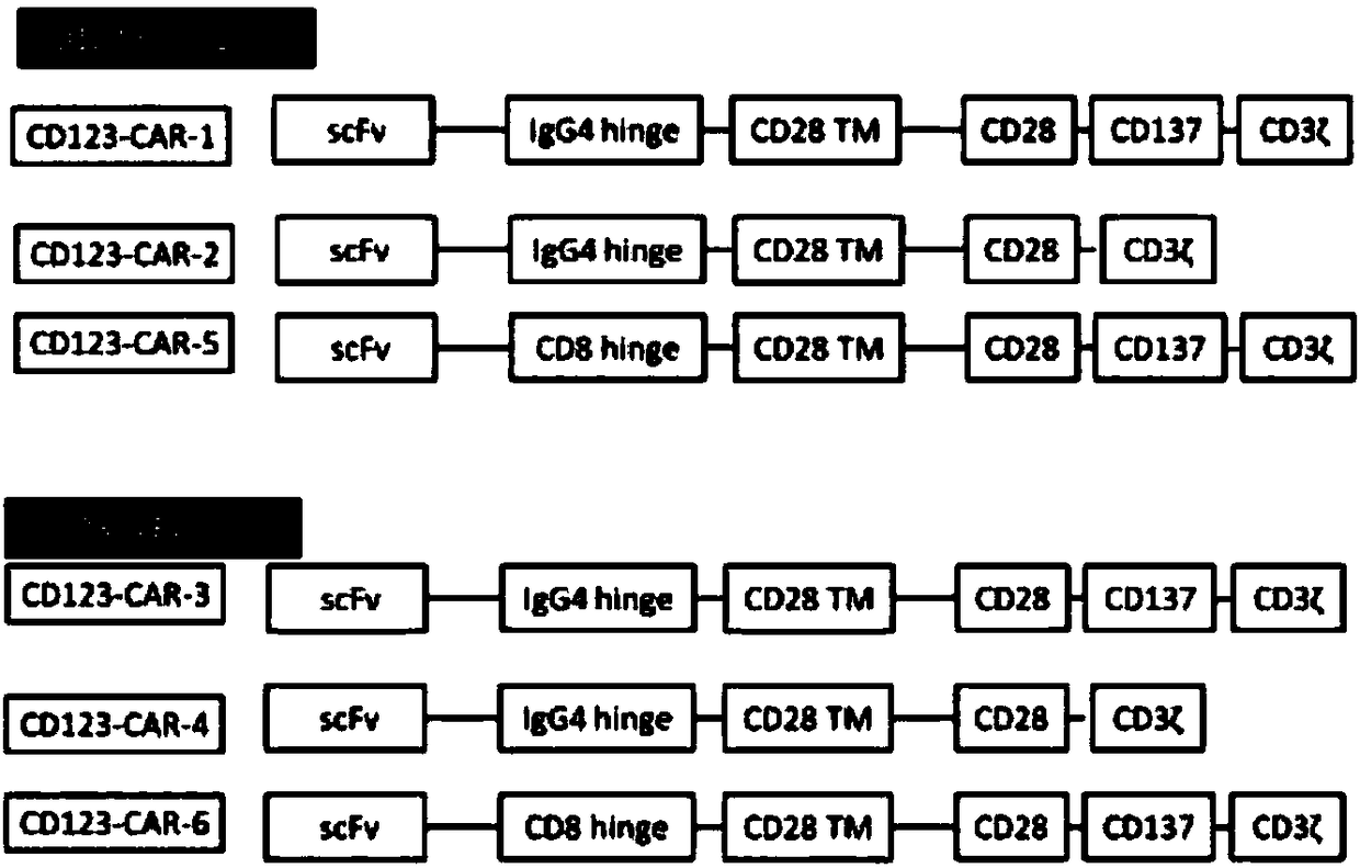 Anti-CD123 (anti-cluster of differentiation 123) single-chain antibody, chimeric antigen receptor combined by same and application thereof