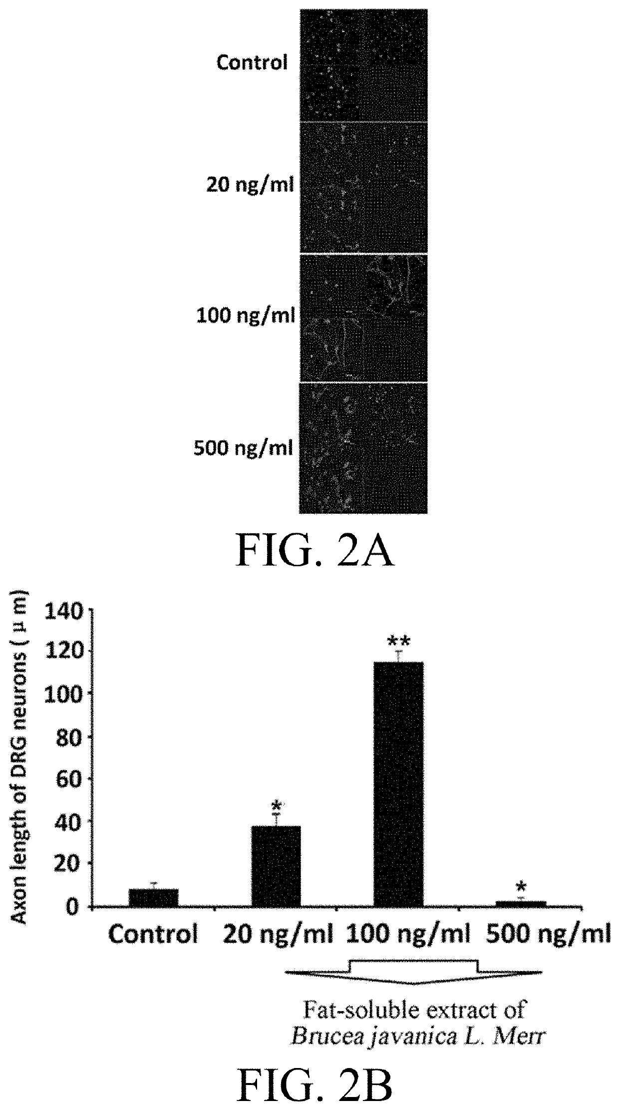 Use of fat-soluble extract of brucea javanica l. merr in preparing medicines for promoting peripheral nerve regeneration