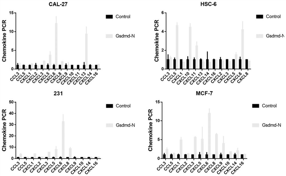 Nanometer material based on loaded GSDMD protein N-terminal peptide fragment and application thereof