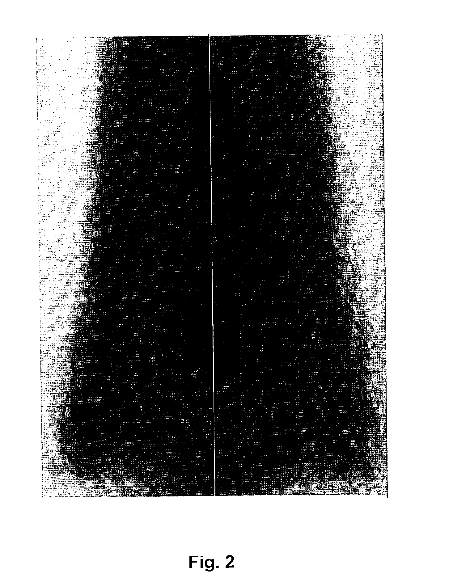 Method for reducing water concentration in a multi-phase column reactor