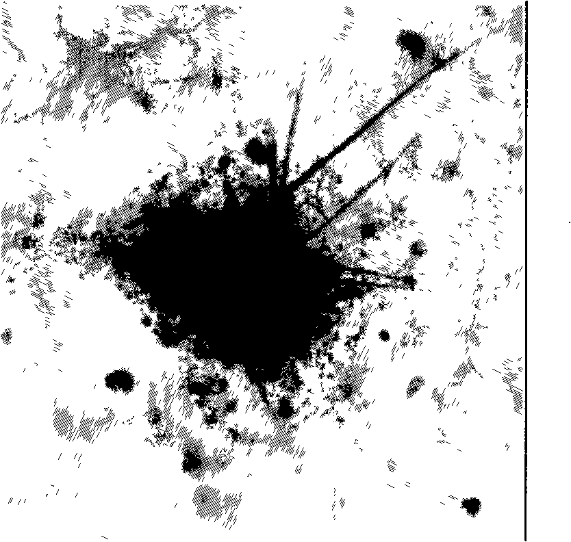 Preparation of artificial skin containing hair follicle and artificial skin prepared by the same