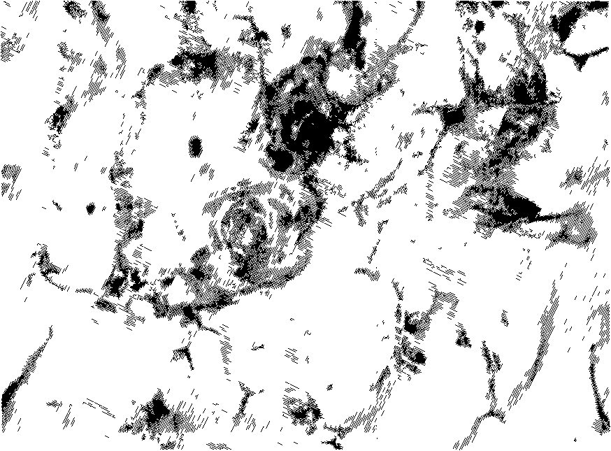 Preparation of artificial skin containing hair follicle and artificial skin prepared by the same