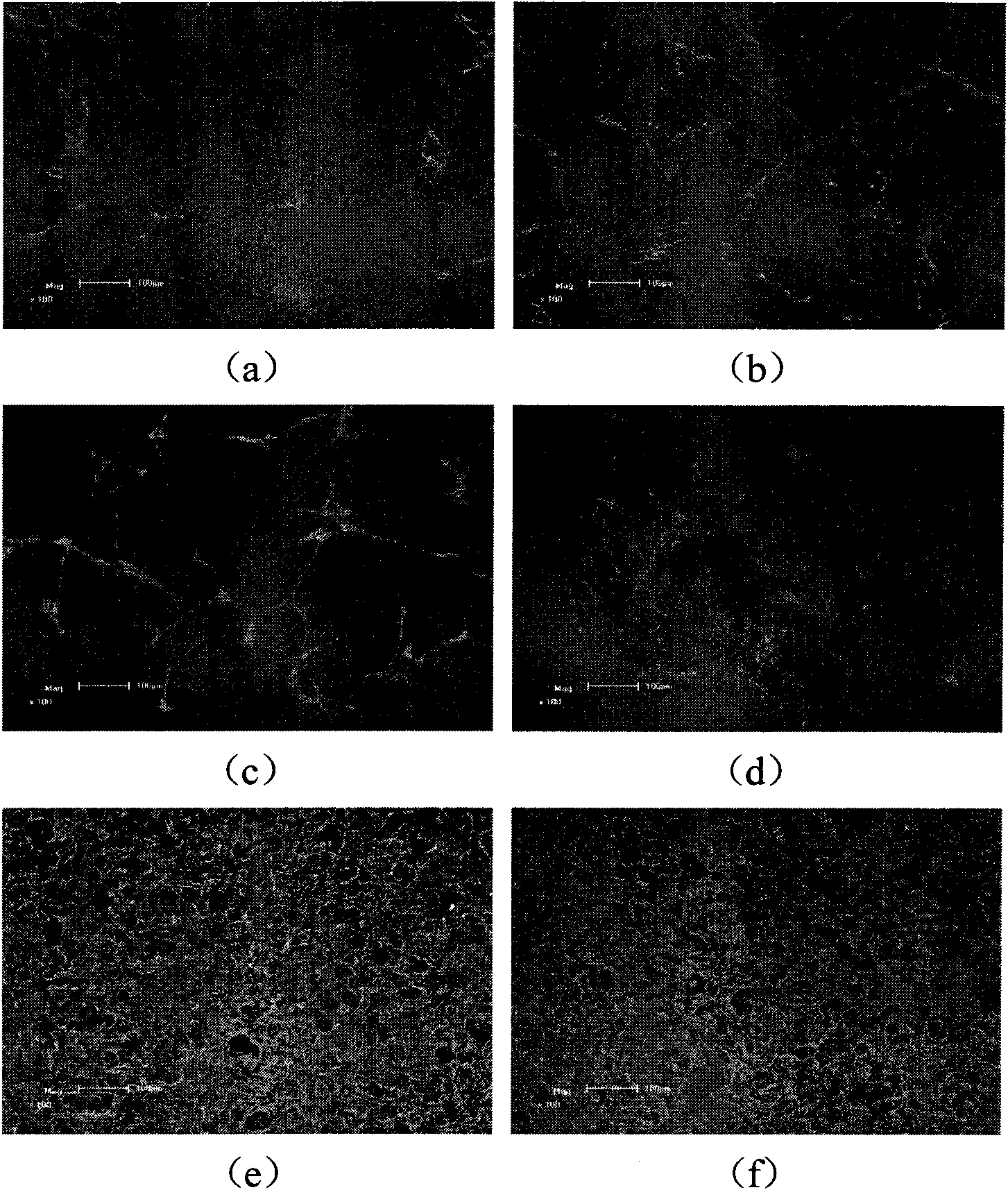 Medicament coating material and preparation method