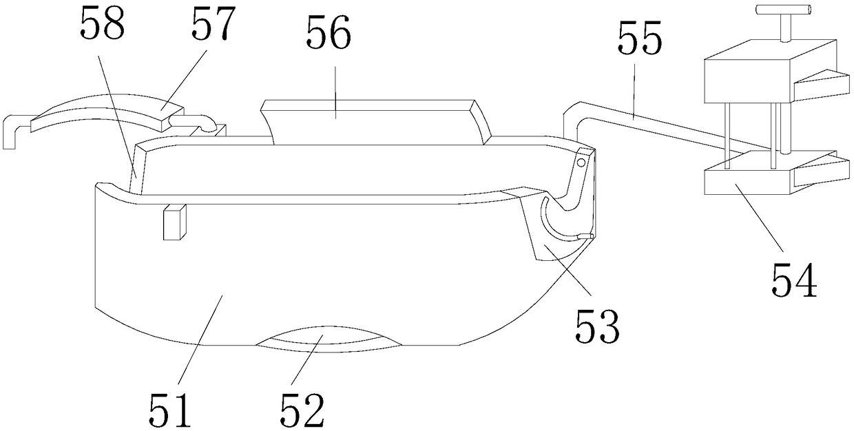 Fixing device for injection comforting of penicillin injection of hens