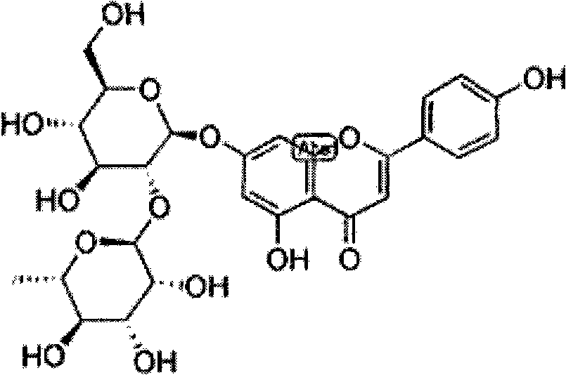 Method for extracting rhoifolin and prepared medicament application thereof