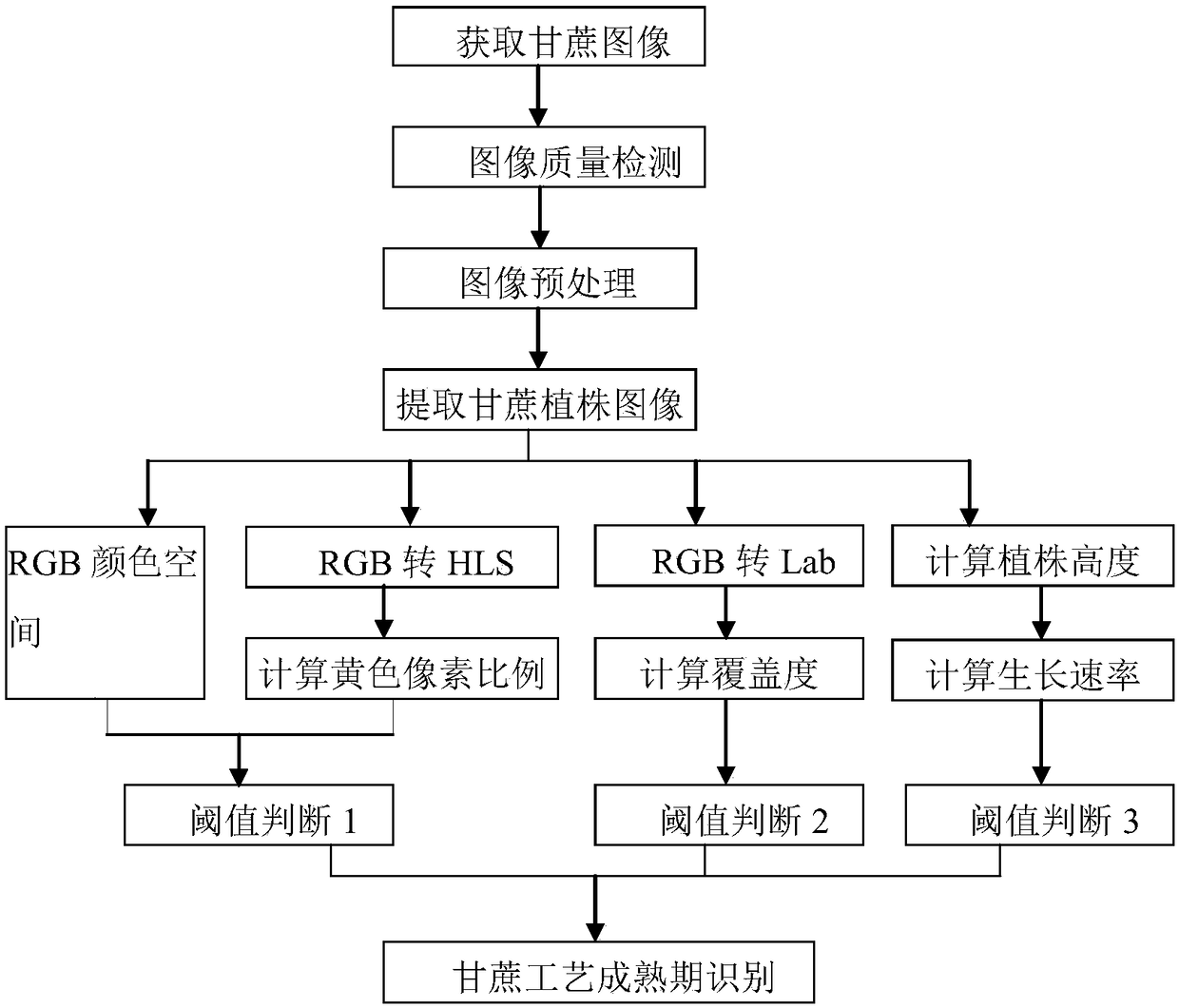 Automatic observation method for sugarcane process maturing stage