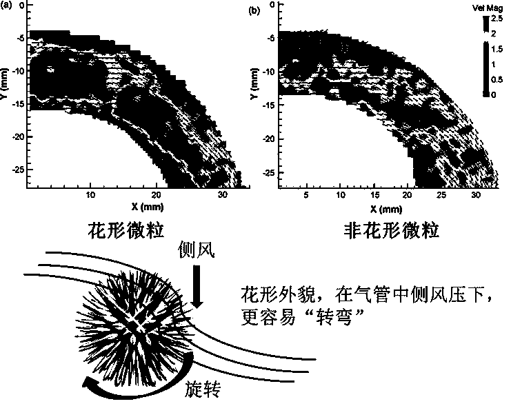 Inhaler, Respiratory Tract and Lung Model Device Integration for Sorting Flower-Shaped Particle Carriers