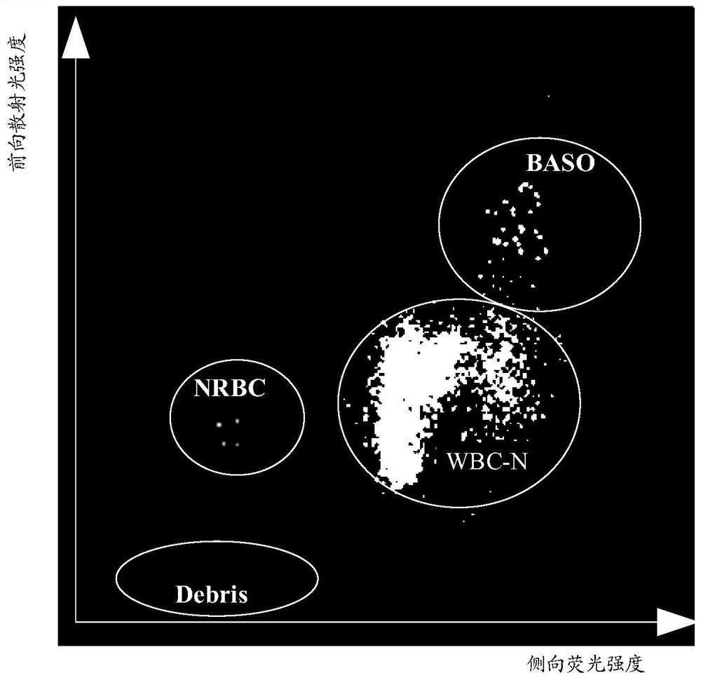 Agents for nucleated red blood cell, basophilic granulocyte and other white blood cell classification