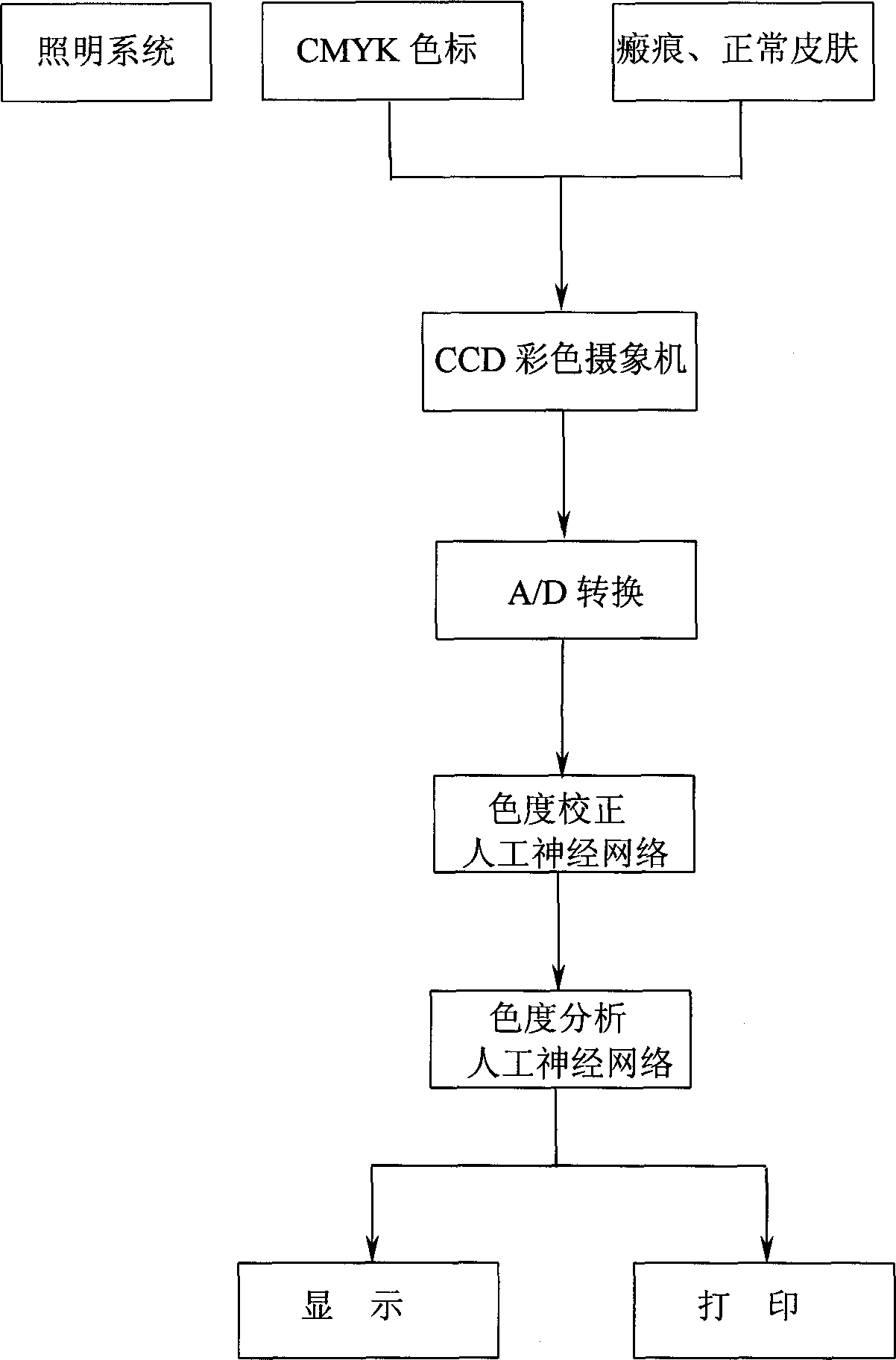 Chroma analysis method for cheloid proliferation of human body