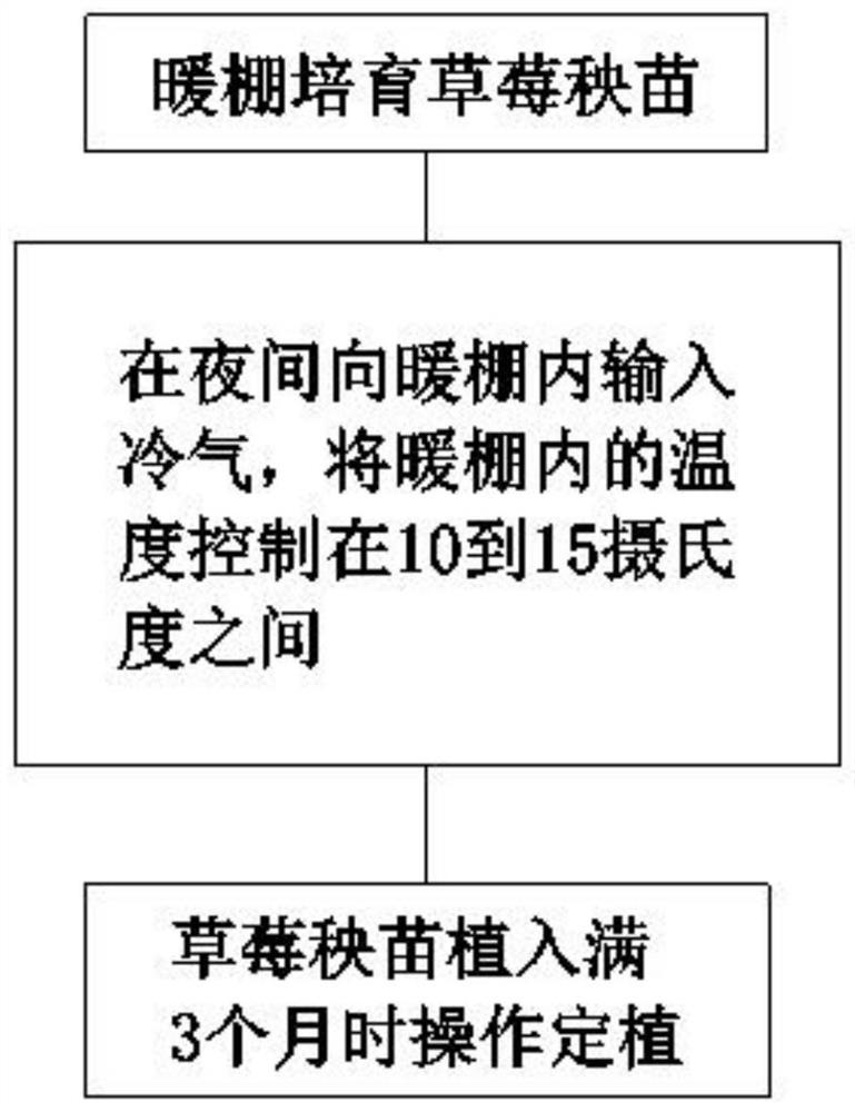 Strawberry greenhouse cultivation method