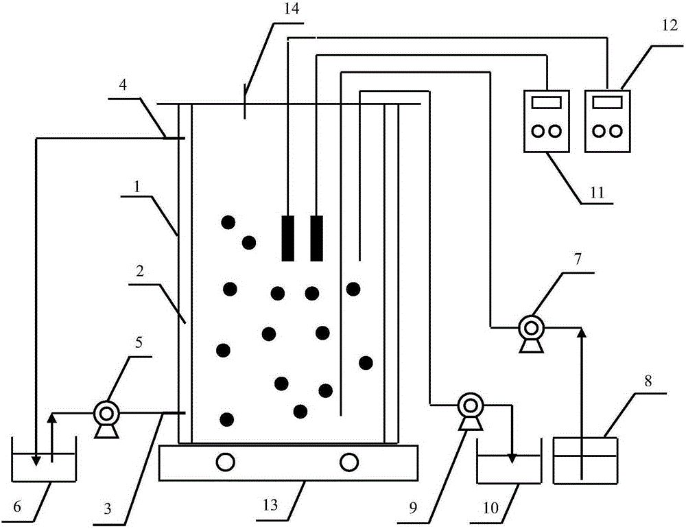 Biological nitrogen removal method based on anaerobic Feammox and application thereof