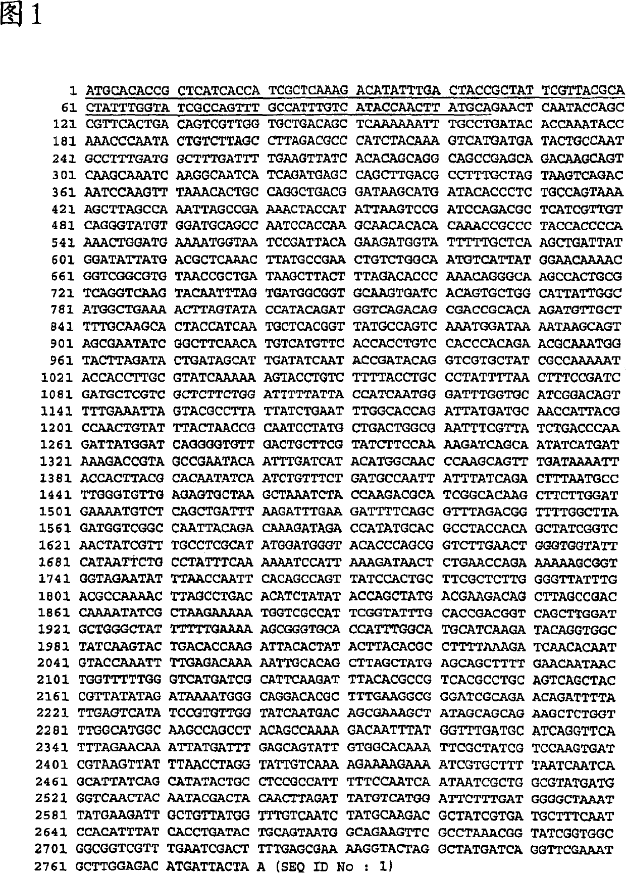 Moraxella (branhamella) catarrhalis polypeptides and corresponding DNA fragments