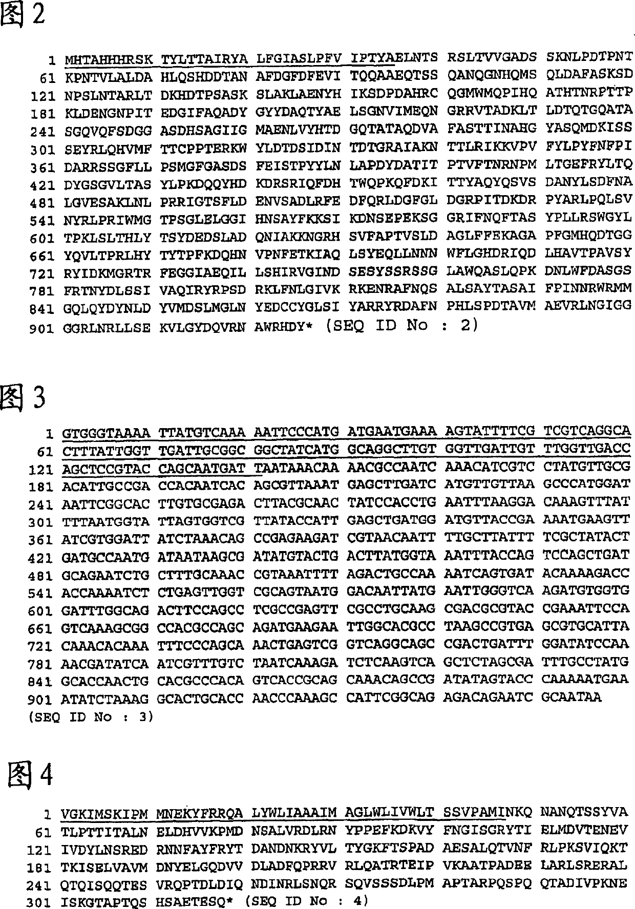 Moraxella (branhamella) catarrhalis polypeptides and corresponding DNA fragments