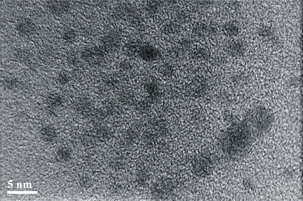 Method for preparing water-soluble fluorescent carbon dots based on chitosan oligosaccharide-microwave assistance